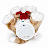 Milo Canela · Gatito navideño de peluche — Vista adicional IMG_0823