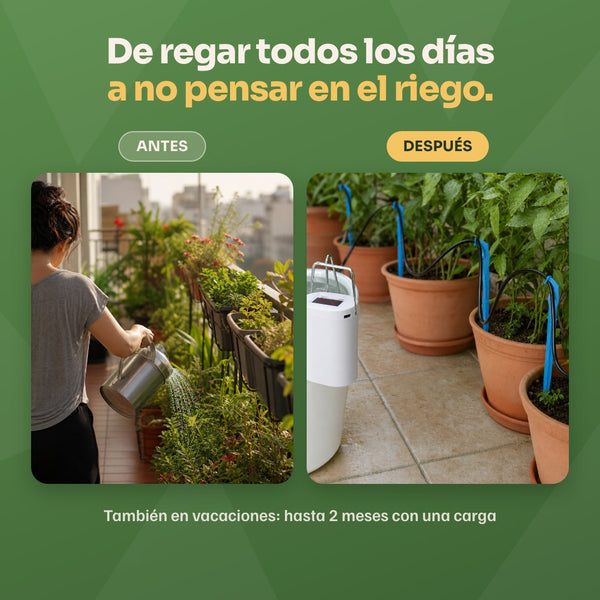 Antes y después: de regar todos los días a no pensar en el riego, también en vacaciones